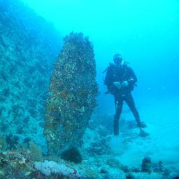 ManilvaBuceo's profile picture. 