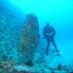 Manilva Buceo (@manilvabuceo) Twitter profile photo