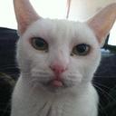 Lilly Tanner - @LillyDumptruck - Twitter