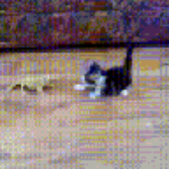 syahrefi's profile picture. 