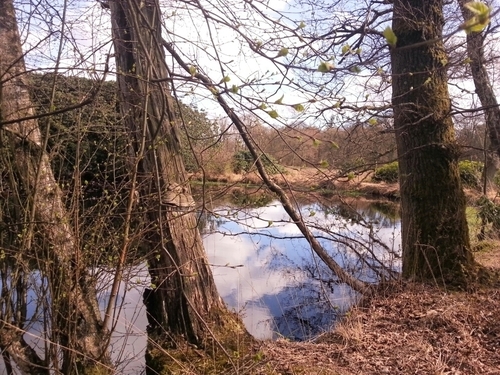 erwinorog's profile picture. 