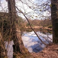 Erwin Roggema (@erwinorog) 's Twitter Profile