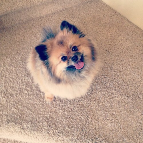 I'm Lucy :3
