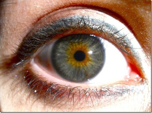 Alicelarossa's profile picture. #1 #amfoodtweeting! Comunicazione * cucina creativa * writing * Terra * nature