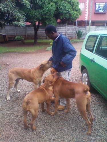 kentiampati_'s profile picture. 