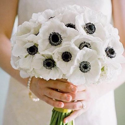 Whatever the occasion we provide luxury bespoke designs with unique style. Weddings,Events,Parties and Contract flowers. Or our favourite, just because you can!