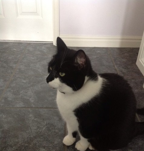 DebHirons1's profile picture. 