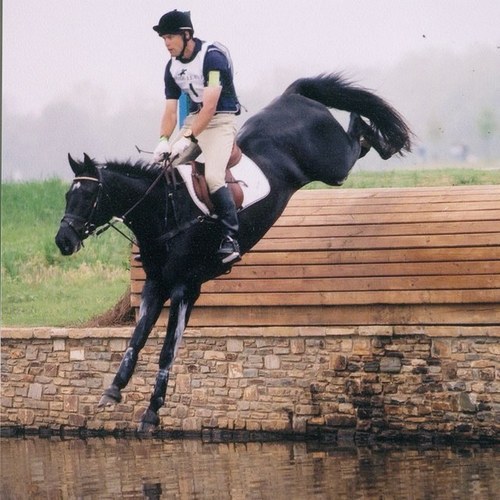 I'm an equestrian that loves to educate, train, and compete.