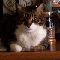 graziarizzolo (@graziarizzolo) 's Twitter Profile Photo graziarizzolo (@graziarizzolo) 's Twitter Profile Photo