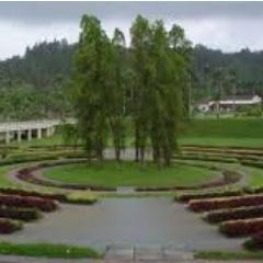 com_elec_usb's profile picture. Comisión Electoral de la Universidad Simón Bolívar (Oficial)