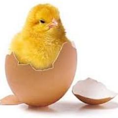 Levalkids Profile Picture