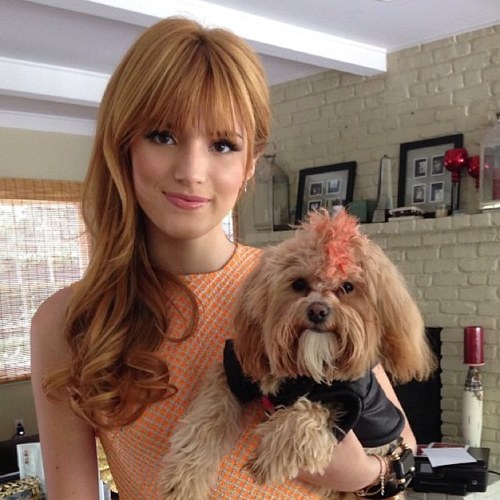 Lover of Fashion; Rebel; Best friend to Rocky Blue; Hate School; Dancer on SIUC. ♡ {Not Bella, she's @bellathorne.}