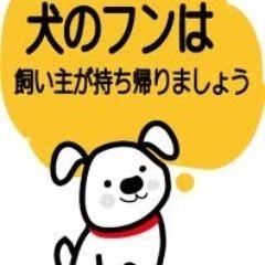 どうも