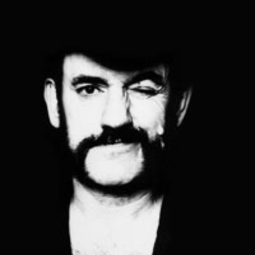 Kalltony's profile picture. Har en spökskrivare.