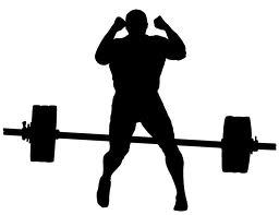 gymexercises365's profile picture. 