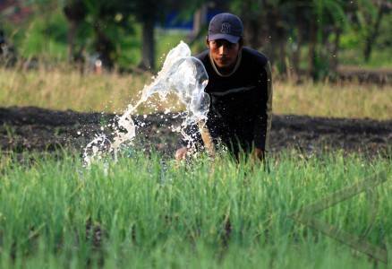 Petani maju mencerdaskan kehidupan bangsa...