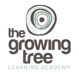 Advanced reading & writing instruction for K-12.  Digital literacy, creative thinking, leadership & educational support.