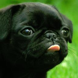 alexab98789's profile picture. Don't hate me cause im beautiful!! But seriously haters f*** off!