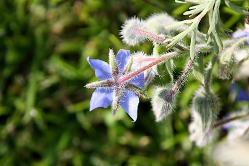counttens's profile picture. Consultant in Cardiology and Electrophysiology, Heart and Lung Centre, Royal Wolverhampton Hospital NHS Trust.