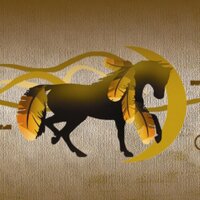 Halina Kowalski, MA, LPC, NCC (@mindfultrails) 's Twitter Profile