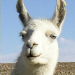 When life gives you llamas, make llamalade.