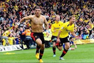 Born a Terrier but a Hornet 🐝 for life #watfordfc #htafc