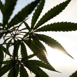 #stonernation #staylifted #GirlsWhoSmokeWeed