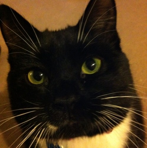 MissBrown_38's profile picture. 