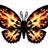 Flamming Butterflies