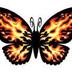 Flamming Butterflies (@00midnitesky00) Twitter