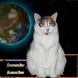 Most beautiful, regal, elegant form of Cat in the Universe.  My furballs don't stink, that's for sure.