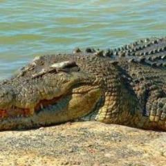 sheapproducts20's profile picture. 