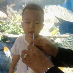 Destroycha's profile picture. 