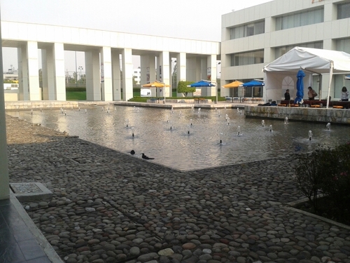 TatianaRivera3's profile picture. 