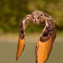 Bob Brown - @BobBrownPA - Twitter