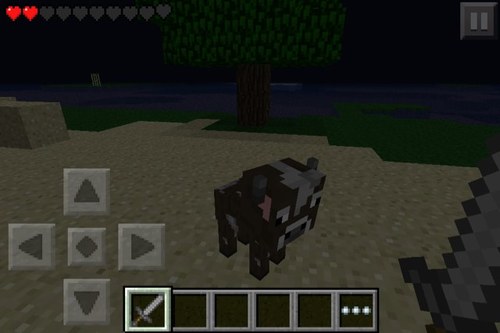 tolga_shitzu's profile picture. 