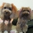 mahalo_kona's profile image