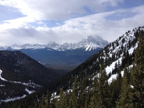 reynolds_timmy's profile picture. 