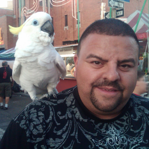 PeterCampanella's profile picture. 