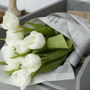 مغرد متميز ♪*' (@0597621617) Twitter