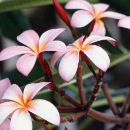 Tab24x7xscore's profile picture. 