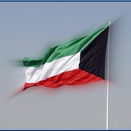 ‏‏ضيفني اضيفك .. فولو فولوباك