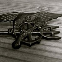 NavySEALs.com (@realnavyseals) 's Twitter Profile