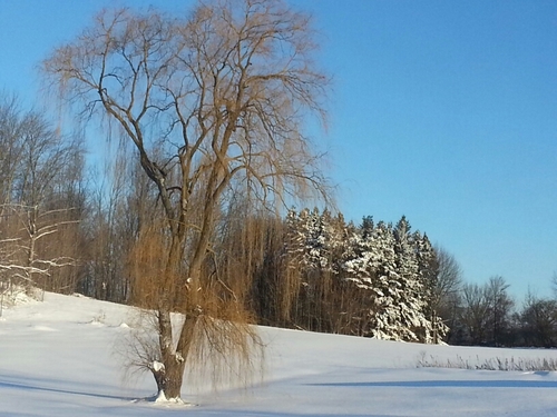 PinderRai's profile picture. 