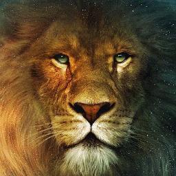 homerthyago's profile picture. 