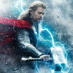 I am Thor, God of Thunder, Son of Odin, and brother of Loki. He may be adopted, but he is still my brother. #RP