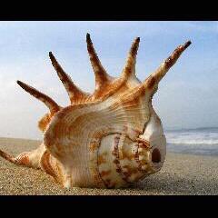 444punk's profile picture. 