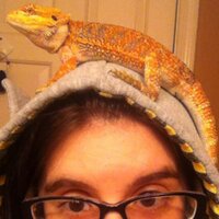 Gorelenore-Steph (@gorelenore) 's Twitter Profile