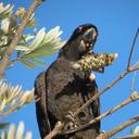 Doris Denning - @DorisDenning - Twitter