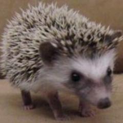 kwrsin's profile picture. 趣味はギターとゲーム制作です。
尊敬する人は元レッチリのジョン・フルシアンテです。
好きなテレビはTVKのSAKUSAKUです。木村カエラちゃんからの隠れファンです。

お暇な方は絡んで下さいませ

よろしくお願いします。